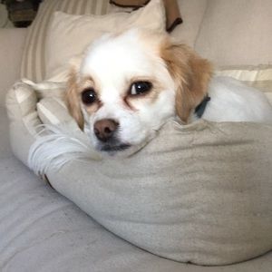 Meet your Posher, Tina